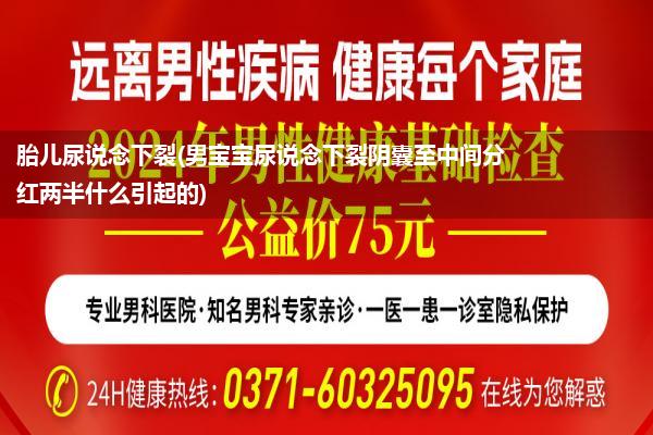 胎儿尿说念下裂(男宝宝尿说念下裂阴囊至中间分红两半什么引起的)